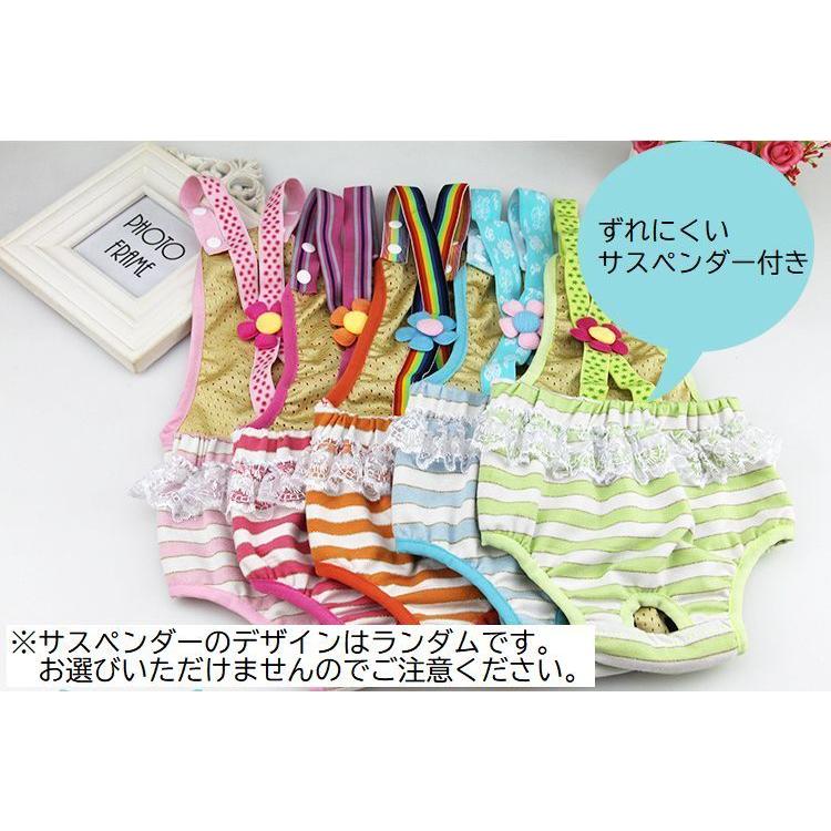 犬用サニタリーパンツ マナーパンツ ペット用品 生理パンツ おむつカバー ペットウェア 犬用 いぬ用 サスペンダー ボーダー レース 花 メッシュ か Pet おとりよせ Com 通販 Yahoo ショッピング