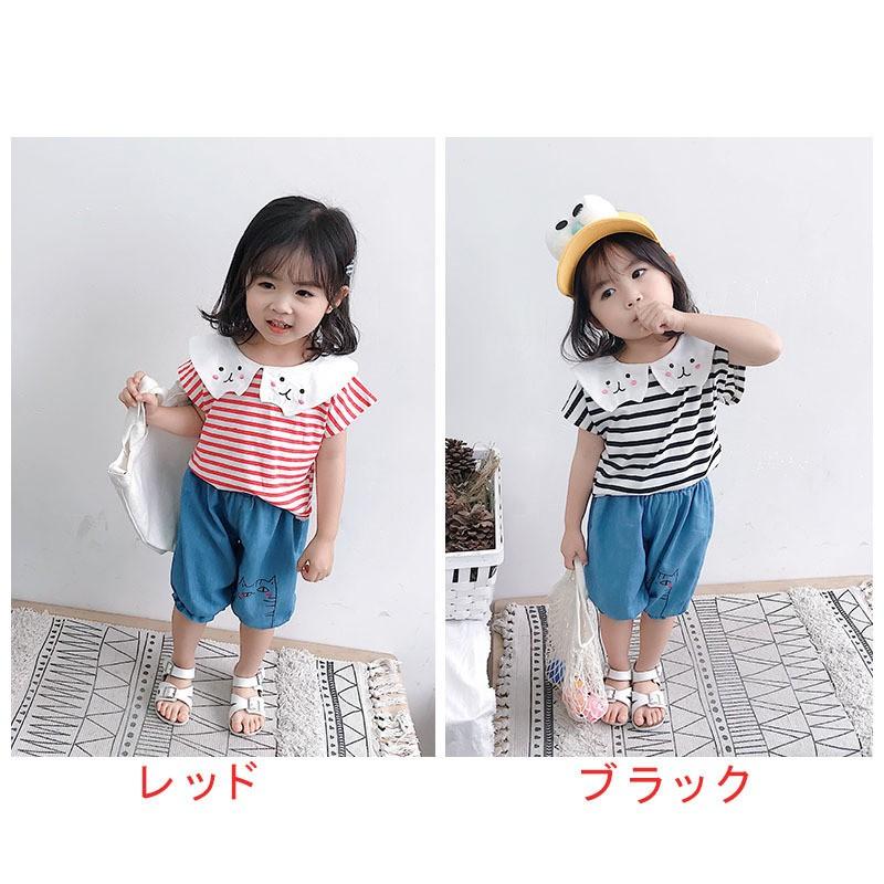 ベビー服 ベビーウェア セットアップ 上下セット ツーピース Tシャツ 半袖 ボーダー 襟付き ウサギ イラスト 刺繍 半ズボン ハーフパンツ 膝丈 Set おとりよせ Com 通販 Yahoo ショッピング