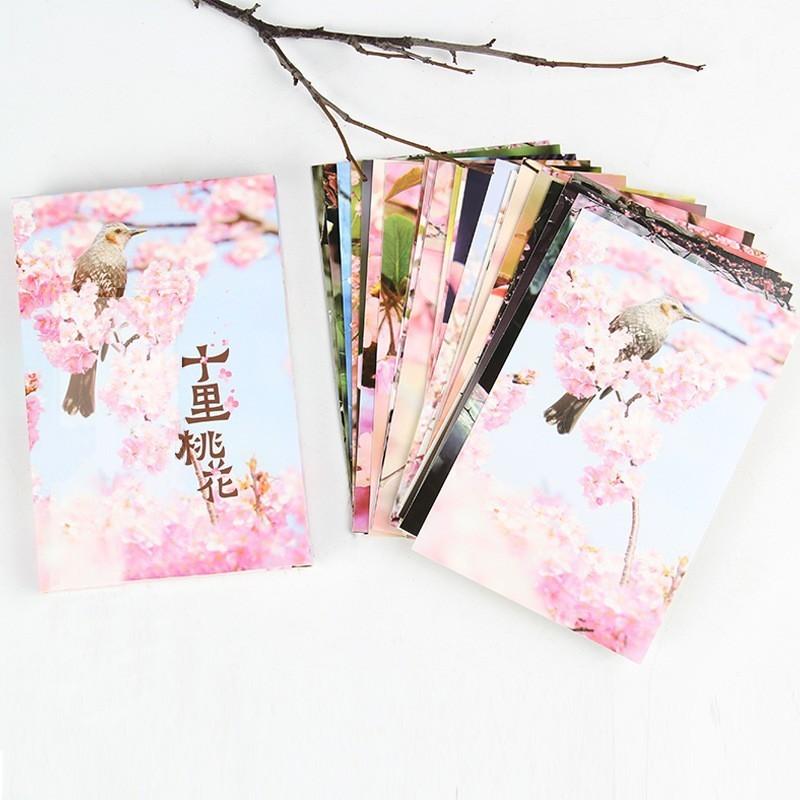 ポストカード グリーティングカード 30枚セット 絵葉書 はがき 桃の花 フラワー 花 写真 おしゃれ 可愛い かわいい きれい お手紙 お便り ご挨 Zak おとりよせ Com 通販 Yahoo ショッピング