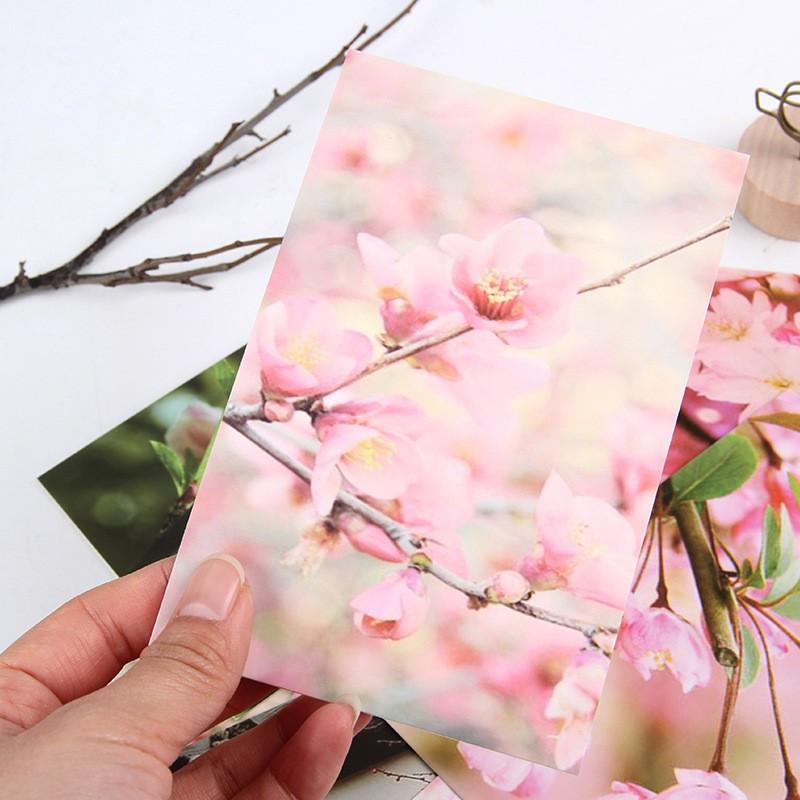 ポストカード グリーティングカード 30枚セット 絵葉書 はがき 桃の花 フラワー 花 写真 おしゃれ 可愛い かわいい きれい お手紙 お便り ご挨 Zak おとりよせ Com 通販 Yahoo ショッピング