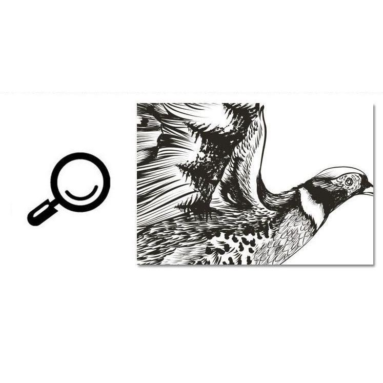 ウォールステッカー 貼ってはがせる 鷹 イーグル 水墨 壁紙シール 壁シール 窓ガラス 壁面装飾 デコレーション 可愛い おしゃれ インテリア 雑貨 Zak 210 おとりよせ Com 通販 Yahoo ショッピング