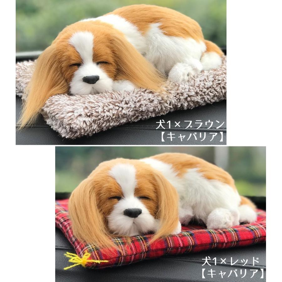 車用消臭剤 脱臭 ぬいぐるみ 人形 アニマル 犬 猫 竹炭 活性炭 置き物 カー用品 車内用 室内用 匂い軽減 匂い対策 かわいい 可愛い オーナメン Zak おとりよせ Com 通販 Yahoo ショッピング