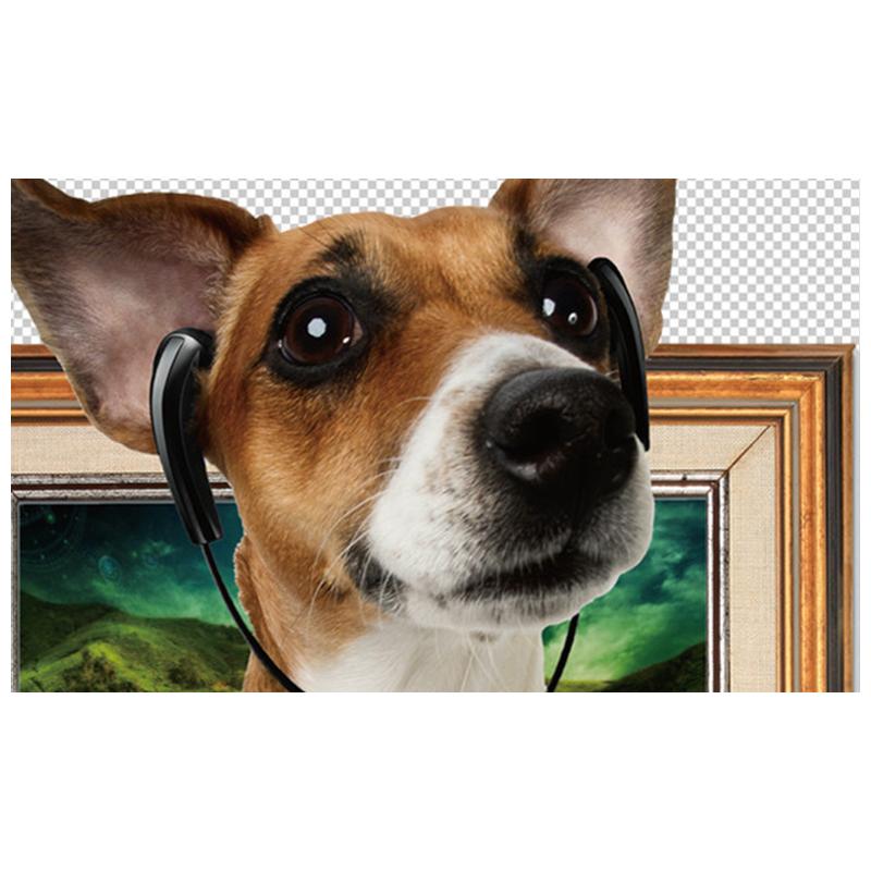 ウォールステッカー ウォールシール 犬 イヌ いぬ Dog フォトフレーム風 額縁 だまし絵 トリックアート 3d 立体的 飛び出す 子供部屋 こども Zak おとりよせ Com 通販 Yahoo ショッピング