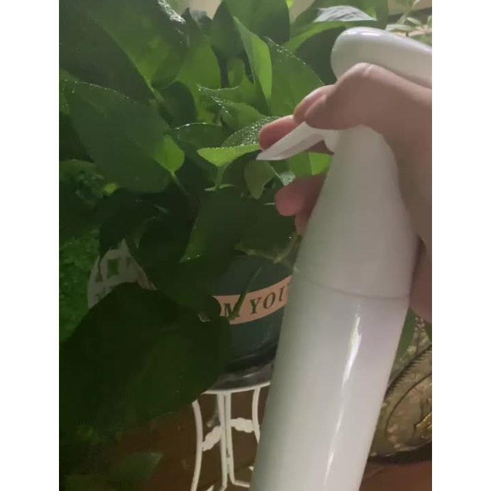 市場 グラススプレイヤー 水やり 霧吹き スプレイヤー クリア