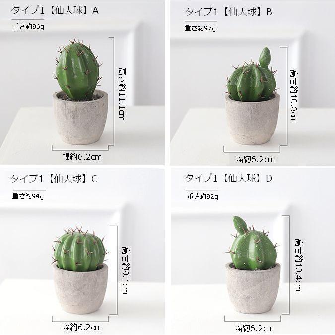 サボテン 多肉植物 置き物 雑貨 オブジェ 小物 ミニサイズ ガーデニング テーブル リビング トイレ 玄関 窓際 ギフト プレゼント 贈り物 インテ Zak 418 おとりよせ Com 通販 Yahoo ショッピング