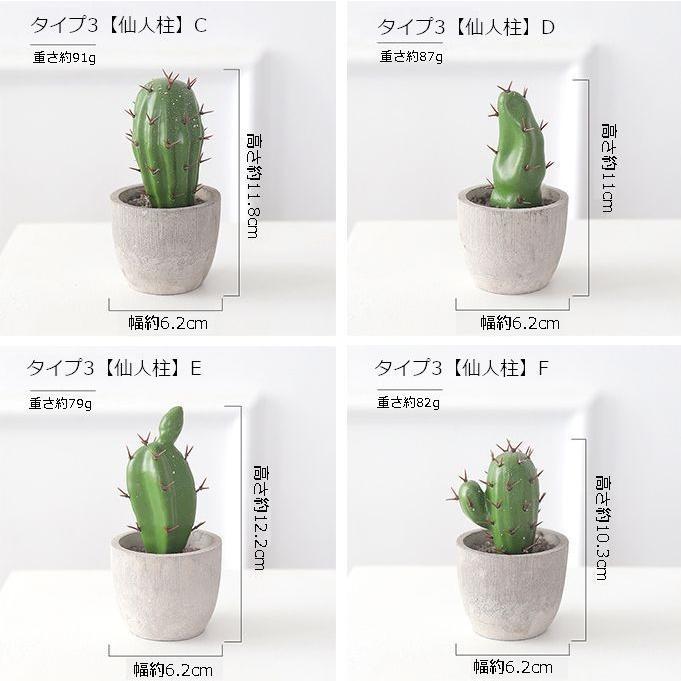 サボテン 多肉植物 置き物 雑貨 オブジェ 小物 ミニサイズ ガーデニング テーブル リビング トイレ 玄関 窓際 ギフト プレゼント 贈り物 インテ :zak-48318:おとりよせ.com - 通販 - Yahoo!ショッピング サボテン 多肉植物 置き物 雑貨 オブジェ 小物 ミニサイズ ガーデニング テーブル リビング トイレ 玄関 窓際 ギフト プレゼント 贈り物 インテ :zak-48318:おとりよせ.com - 通販 - Yahoo!ショッピング