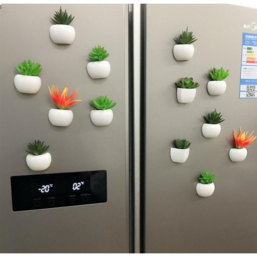 マグネット 多肉植物 サボテン 造花 インテリア リビング ガーデニング アートフラワー 装飾 飾り ギフト 誕生日 プレゼント Zak 575 おとりよせ Com 通販 Yahoo ショッピング