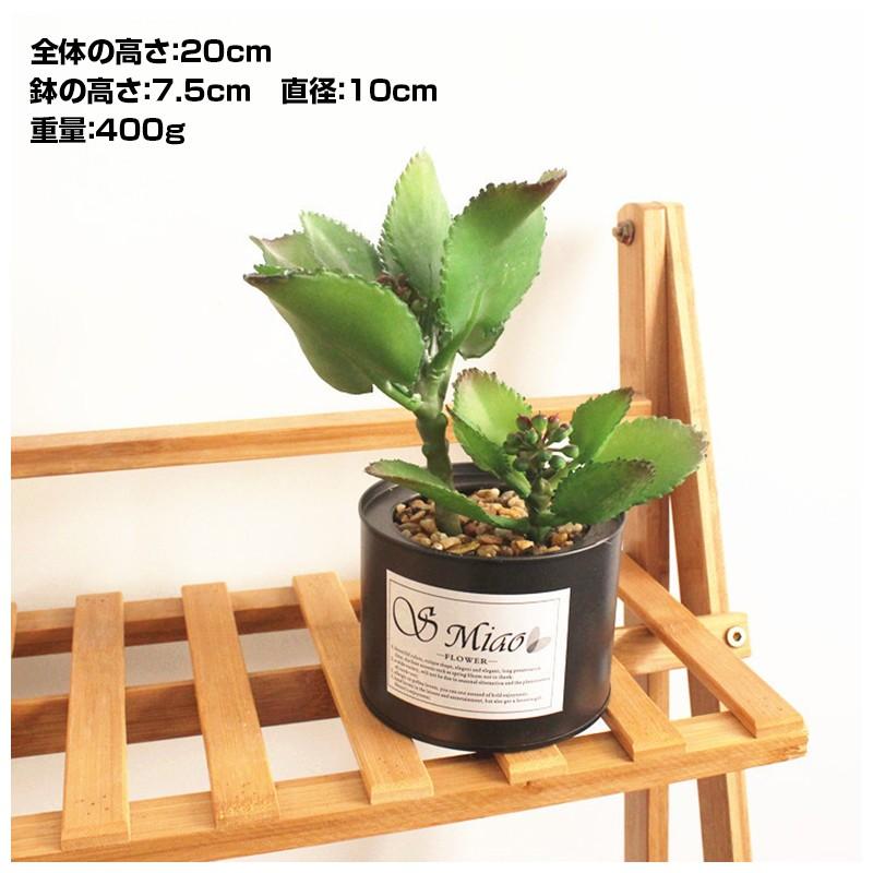 人工観葉植物 フェイクグリーン 造花 ミニ多肉植物 枯れない 装飾 ブリキ缶 卓上 置き物 可愛い おしゃれ 雑貨 プレゼント 贈り物 インテリア Zak おとりよせ Com 通販 Yahoo ショッピング