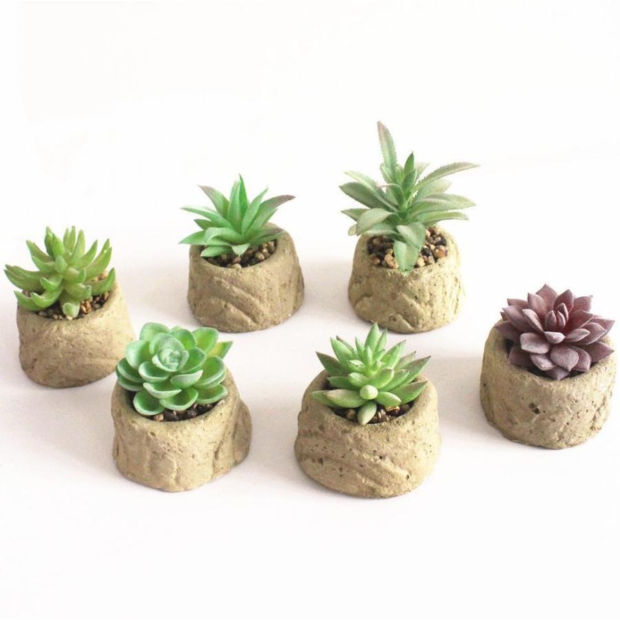 人工観葉植物 ミニサボテン フェイクグリーン 造花グリーン 人工植物 多肉植物 緑 植物装飾 ポットつき リアル 置き物 インテリア Zak 619 おとりよせ Com 通販 Yahoo ショッピング