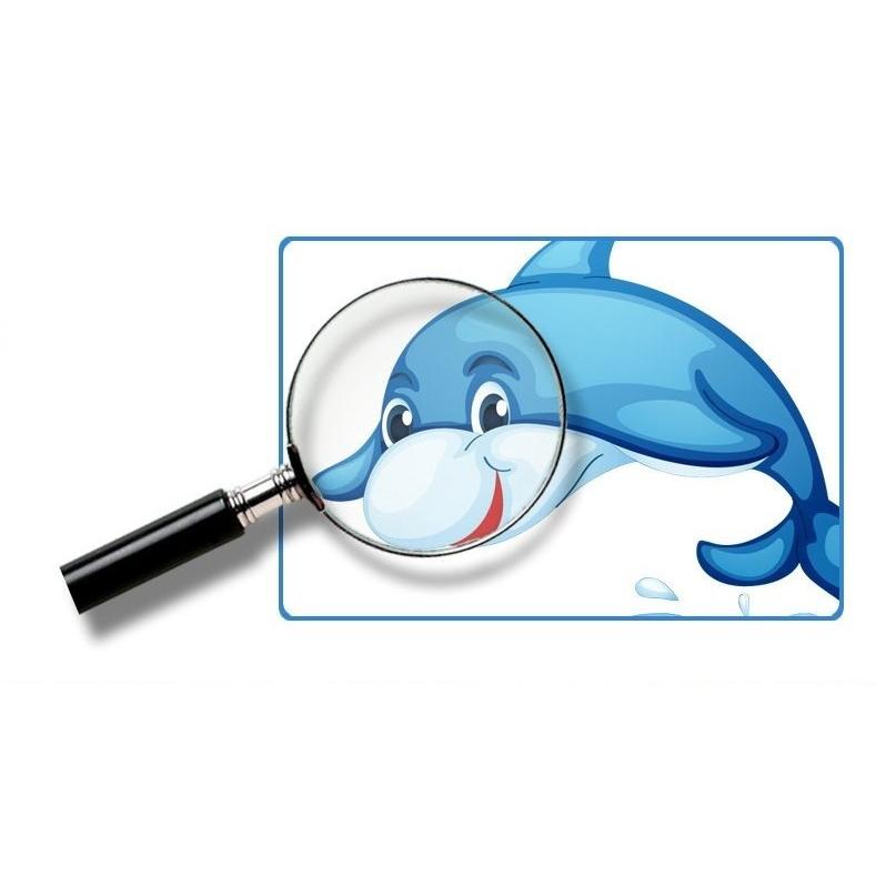 ウォールステッカー インテリア 壁紙シール Diy 壁紙 イルカ くらげ たこ かに 熱帯魚 海 雑貨 小物 身長計 かわいい Zak 868 おとりよせ Com 通販 Yahoo ショッピング