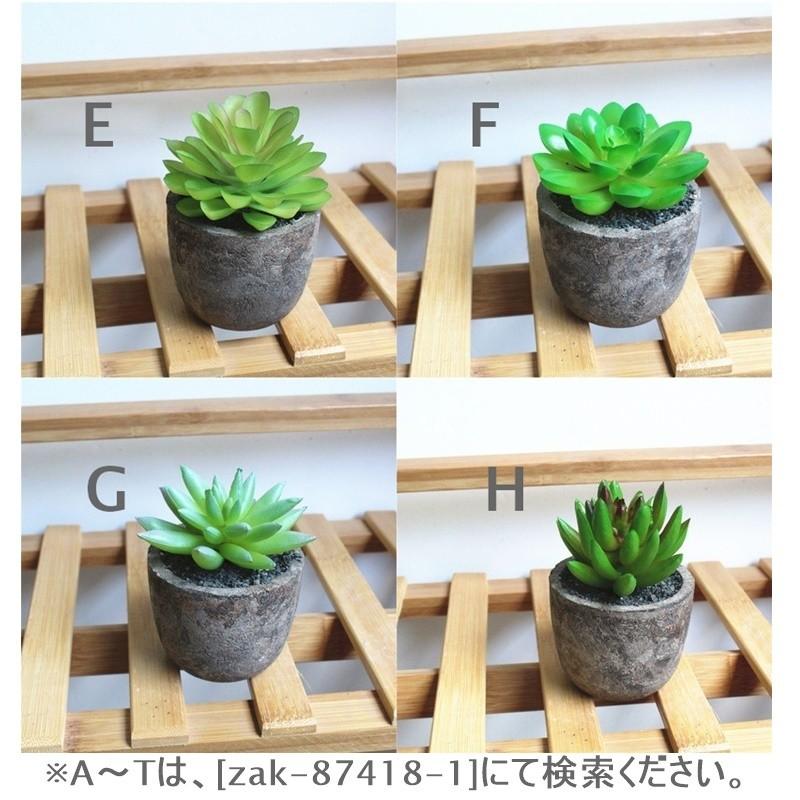 フェイクグリーン 多肉植物 ミニサボテン 造花 インテリア ポット入り 鉢付き セレウス アロエ 室内装飾 リビング 玄関 Zak 1 おとりよせ Com 通販 Yahoo ショッピング
