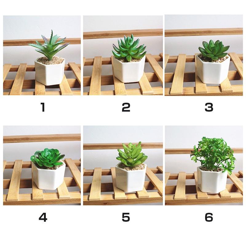 人工観葉植物 フェイクグリーン フェイク観葉植物 造花 ミニ多肉植物 多肉植物 ミニサイズ 卓上 白陶器鉢 かわいい インテリア 贈り物 プレゼント Zak おとりよせ Com 通販 Yahoo ショッピング