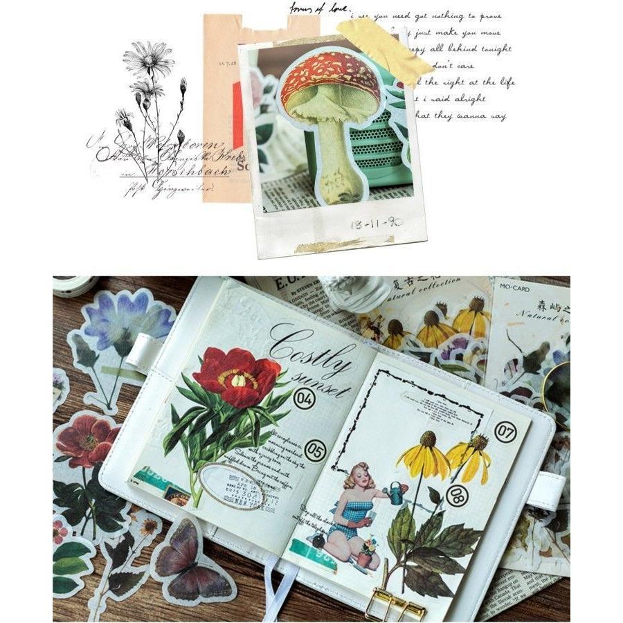 シール フレークシール 花 フラワー ナチュラル ゴールド 箔 ステッカー 大きめ ビックサイズ 植物 ビンテージ風 デコ Zak おとりよせ Com 通販 Yahoo ショッピング