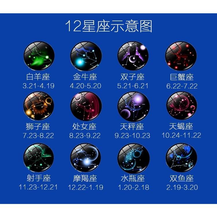 ブレスレット 夜光 12星座 星座 ユニセックス レディース メンズ