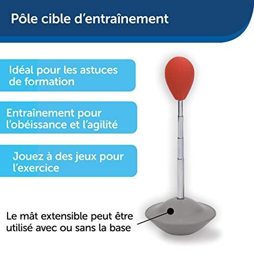 Treat & Train Remote Reward Dog Trainer 