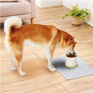 【新品】フードが食べやすい脚付き陶器食器 Mサイズ (犬猫用品/食器)｜mihamashop｜02