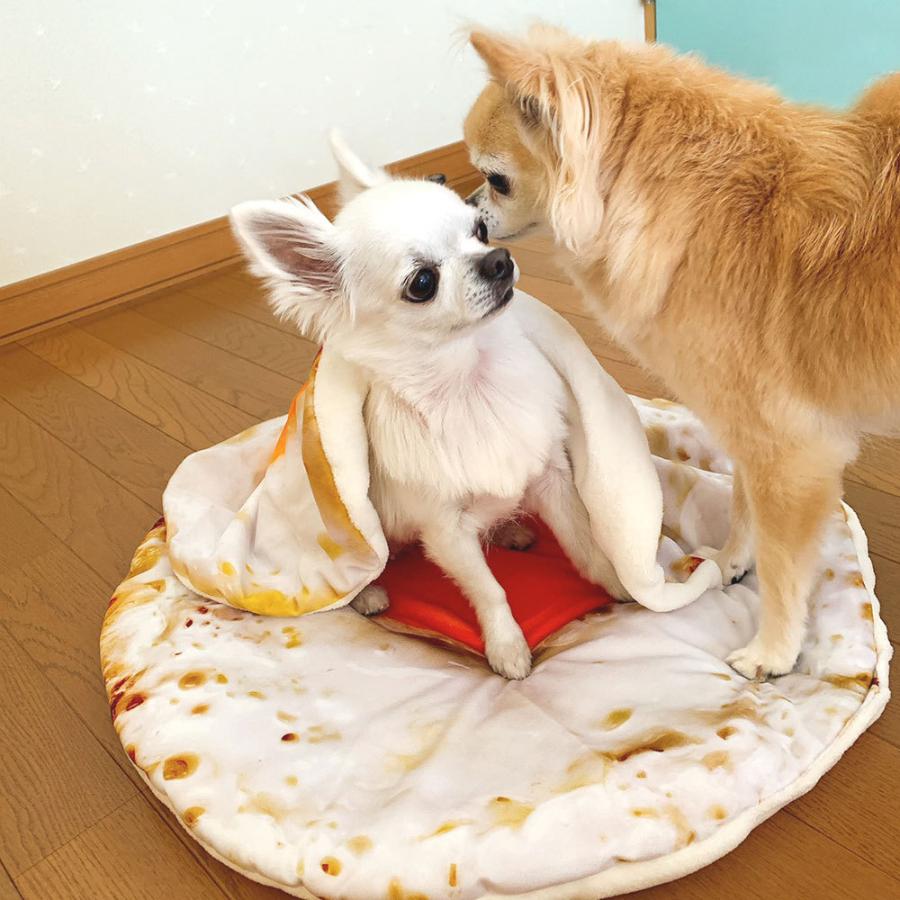 ペットベッド/マット+ダブル毛布セット ピザ 目玉焼き ペットマット
