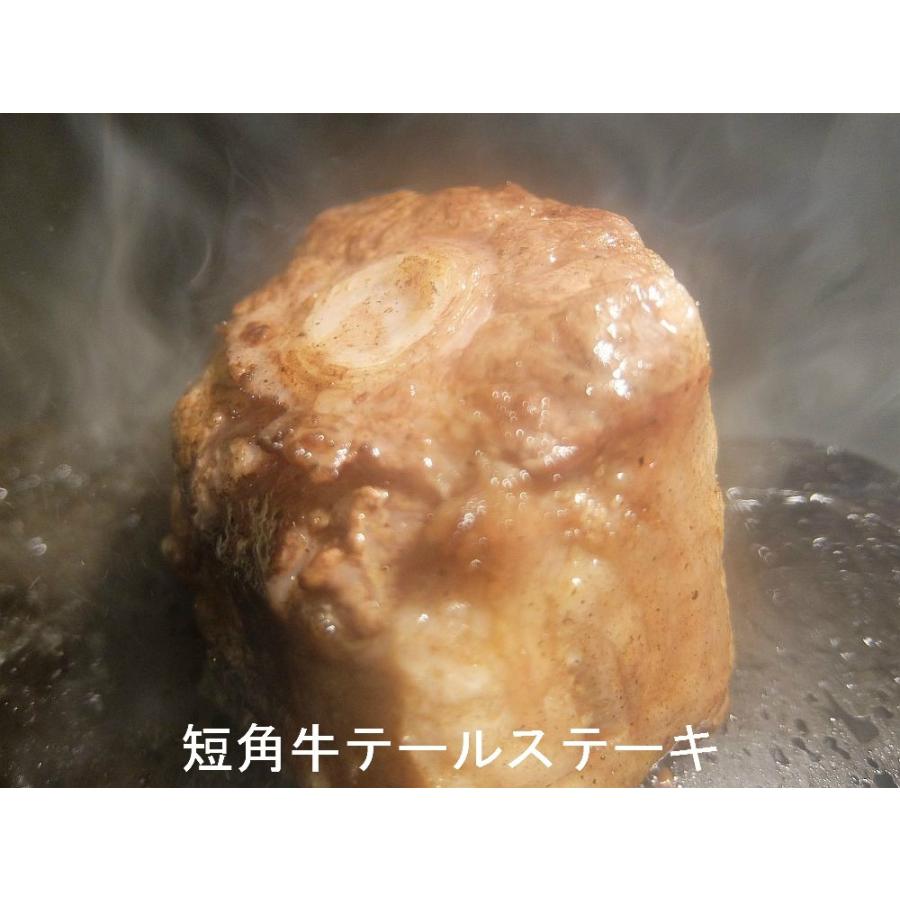 格安即決 焼肉プレート 煙が出ない 溶岩プレート 高耐久 2ｃｍ厚 Shipsctc Org