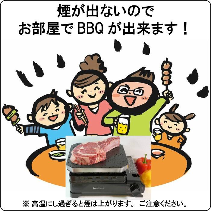 焼肉 溶岩プレート 高耐久 20×20×3cm 溝付き 手入れ 使い方 bbq バーベキュー 焼肉屋 コンロ 卓上 石 鉄板 網 炭 おすすめ 煙 ステーキ ニトリ 桜島 富士山｜mihiro｜02