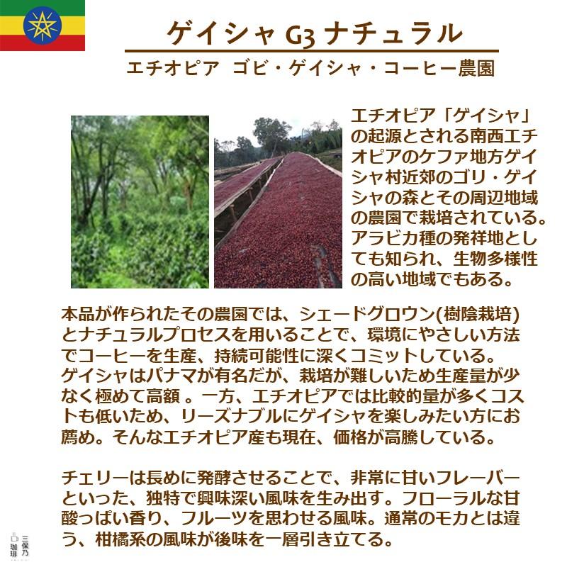 ゲイシャ エチオピア モカ 300g 自家焙煎 コーヒー豆 9月入荷予定