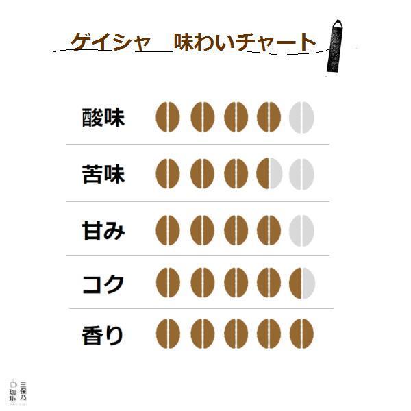 ゲイシャ エチオピア モカ 300g 自家焙煎 コーヒー豆 : 三保乃珈琲