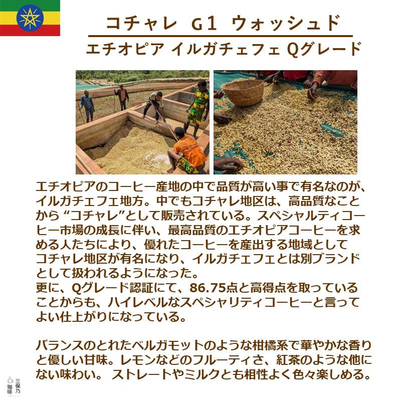 モカ イルガチェフェ エチオピア コチャレ 200g 自家焙煎 コーヒー豆