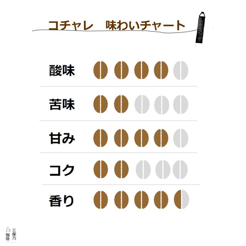 モカ イルガチェフェ エチオピア コチャレ 200g 自家焙煎 コーヒー豆