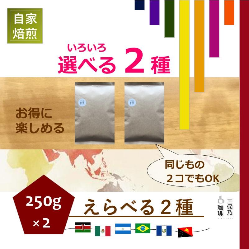 自家焙煎 コーヒー豆 2銘柄セット 500g(250g×2) 豆のまま 自家焙煎 コーヒー豆 2銘柄セット 500g(250g×2) 豆のまま