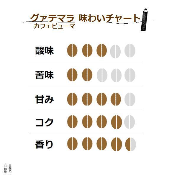 自家焙煎 コーヒー豆 ２銘柄セット 500g(250g×２) 豆のまま｜mihono-coffee｜15