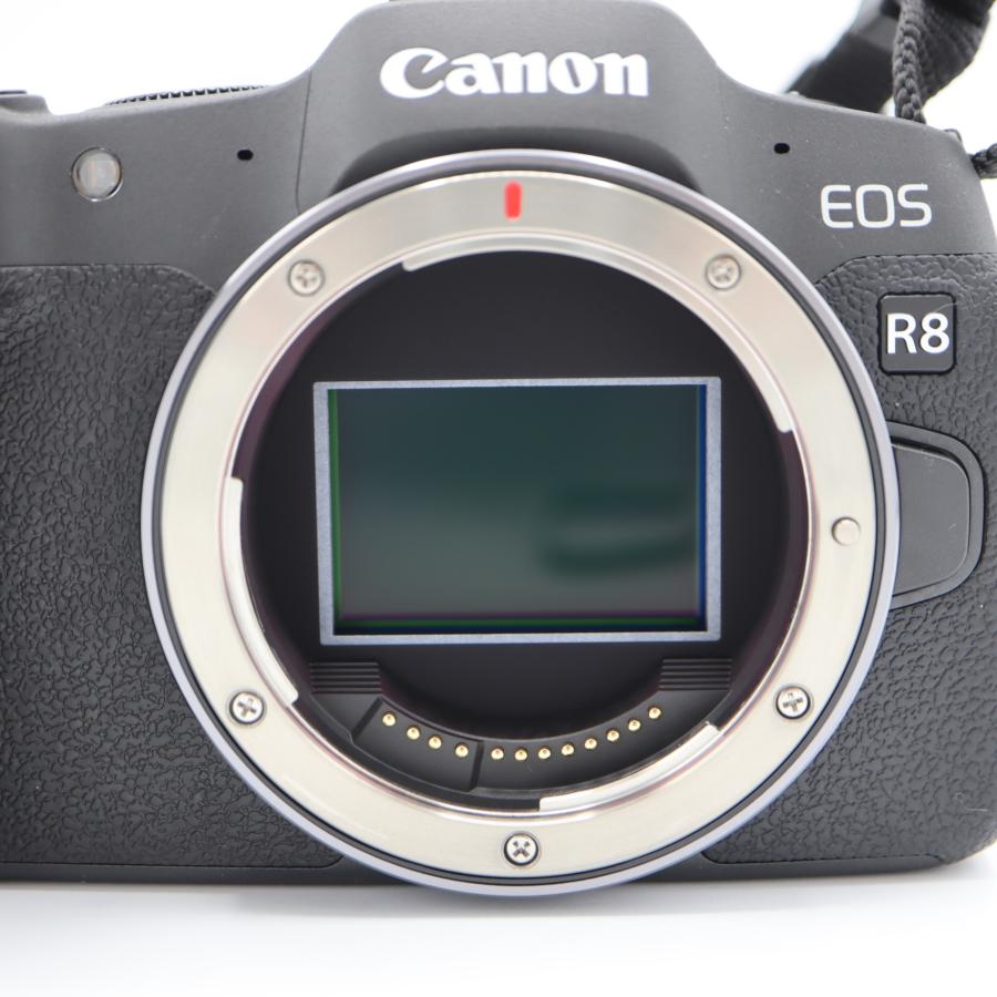 質屋 動作品 CANON キヤノン ミラーレス 一眼レフカメラ EOS R8 ボディ