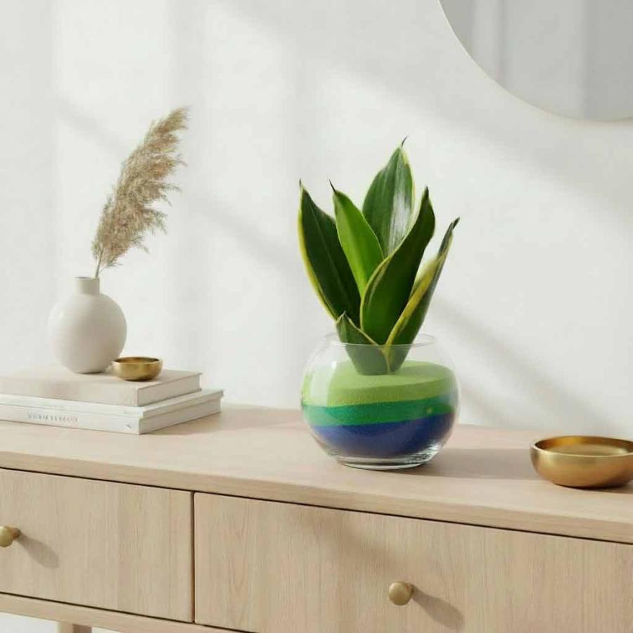 バブルボール ガラス瓶 12cm 植木鉢 フラワーポット ハイドロ