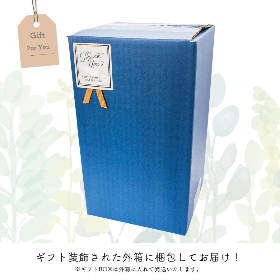 カポック シェフレラ 観葉植物 本物 ハイドロカルチャー おしゃれ ミニ 開店祝い 水耕栽培【コースター付き】 |  | 15