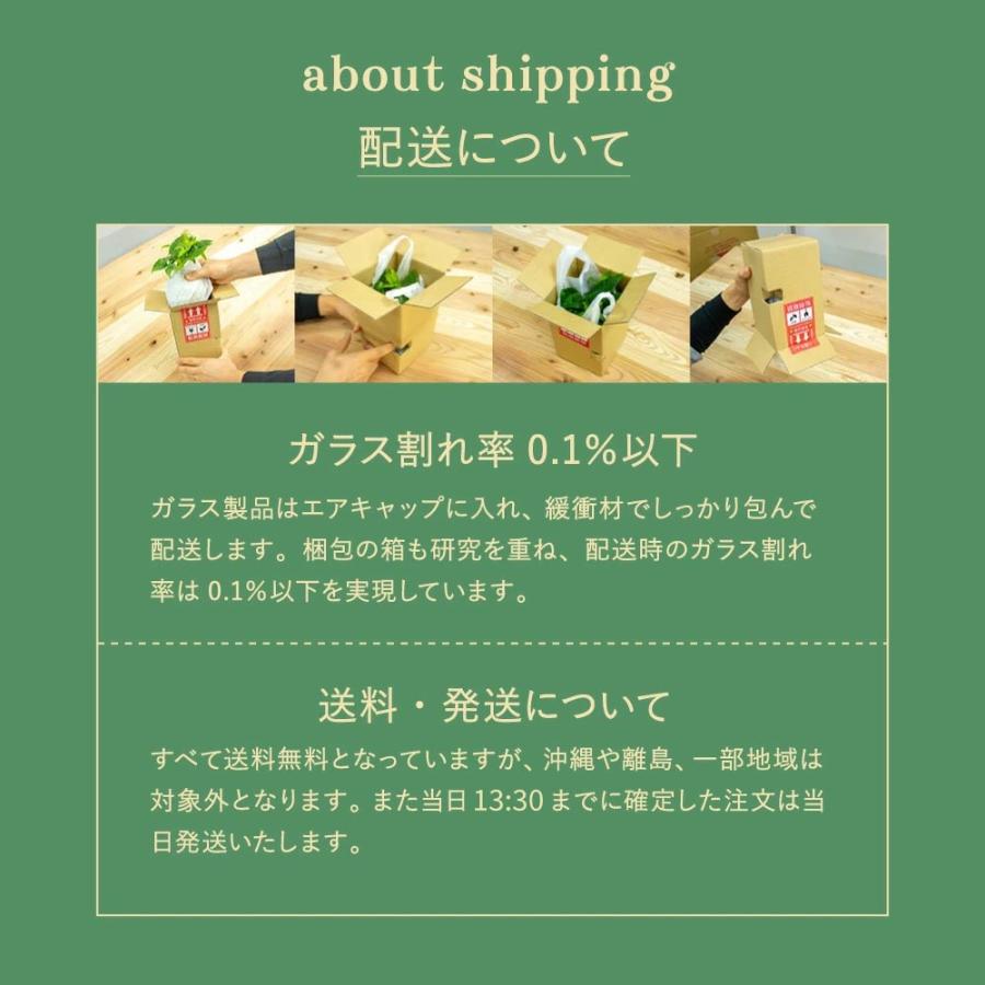 ポトスエンジョイ 小さい観葉植物 本物 ハイドロカルチャー 幸せの木 ミニ 開店祝い 水耕栽培【選べるコースター：丸木/蓮根】 |  | 13