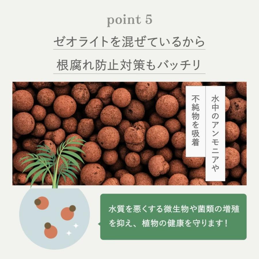 ハイドロカルチャー 植え替え 4点セット ガラス瓶 S 直径9cm 容器 ハイドロコーン 飾り石 防腐剤 ゼオライト 観葉植物 多肉植物 |  | 06