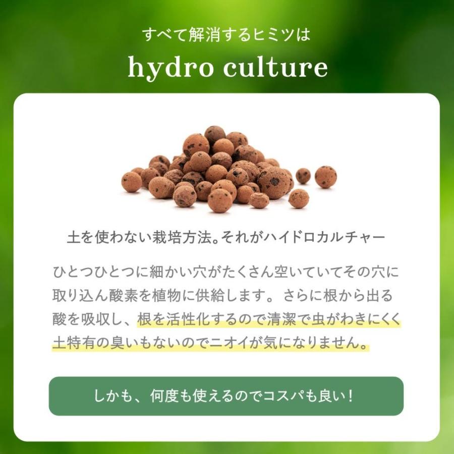 ハイドロカルチャー 植え替え 4点セット ガラス瓶 S 直径9cm 容器 ハイドロコーン 飾り石 防腐剤 ゼオライト 観葉植物 多肉植物 |  | 07
