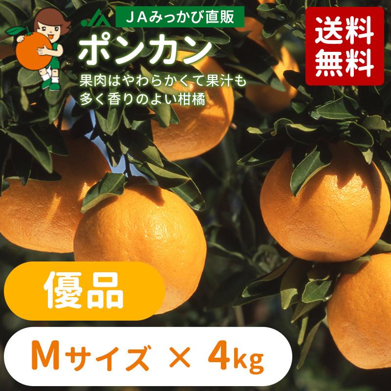 2月上旬発送】みかん ポンカン 優品 Mサイズ 4kg 【他の商品と同時購入