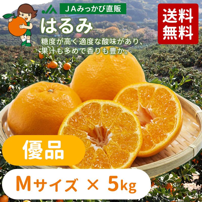 2月中旬発送】みかん はるみ 優品 Mサイズ 8kg箱（内容量5kg）【他の