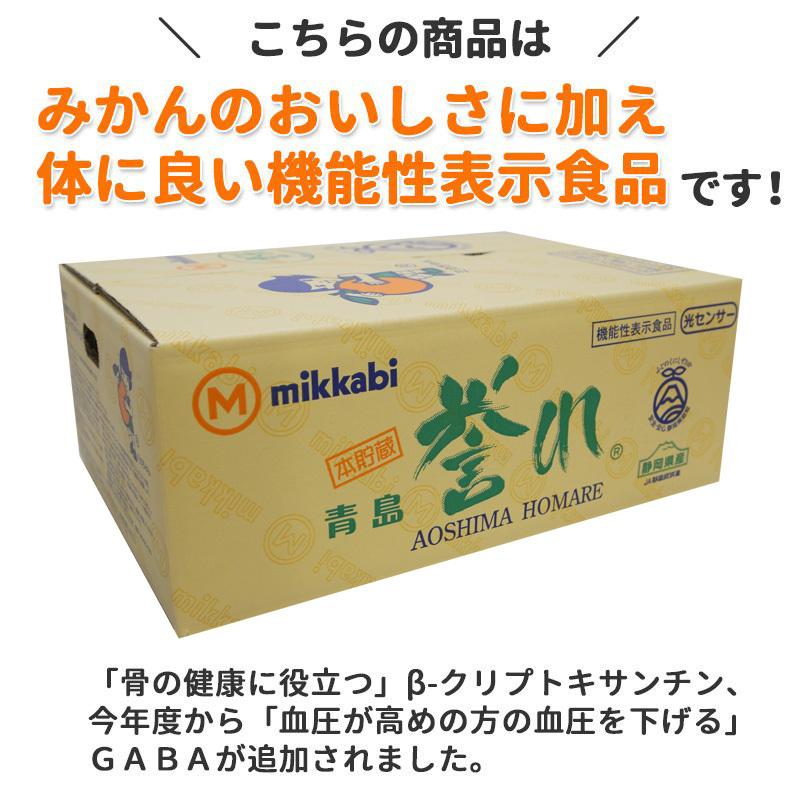3月発送】みかん 本貯蔵青島「誉れ 」青秀品 Mサイズ 4kg 【他の商品と
