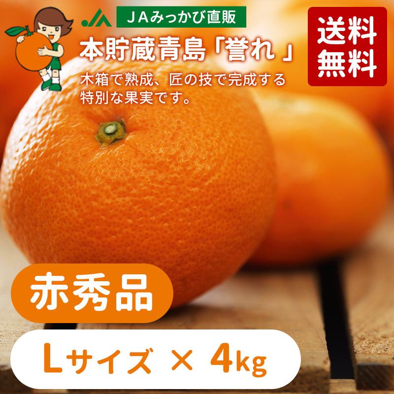 3月発送】みかん 本貯蔵青島「誉れ 」赤秀品 Lサイズ 4kg 【他の商品と