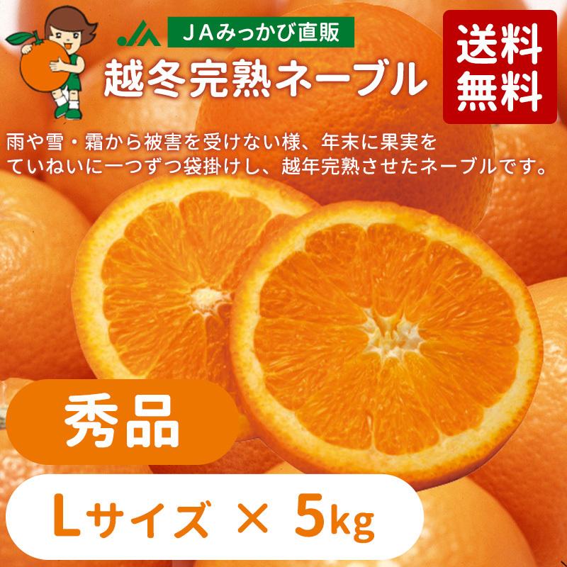 3月上旬発送】みかん 越冬完熟ネーブル 秀品 Lサイズ 8kg箱（内容量5kg