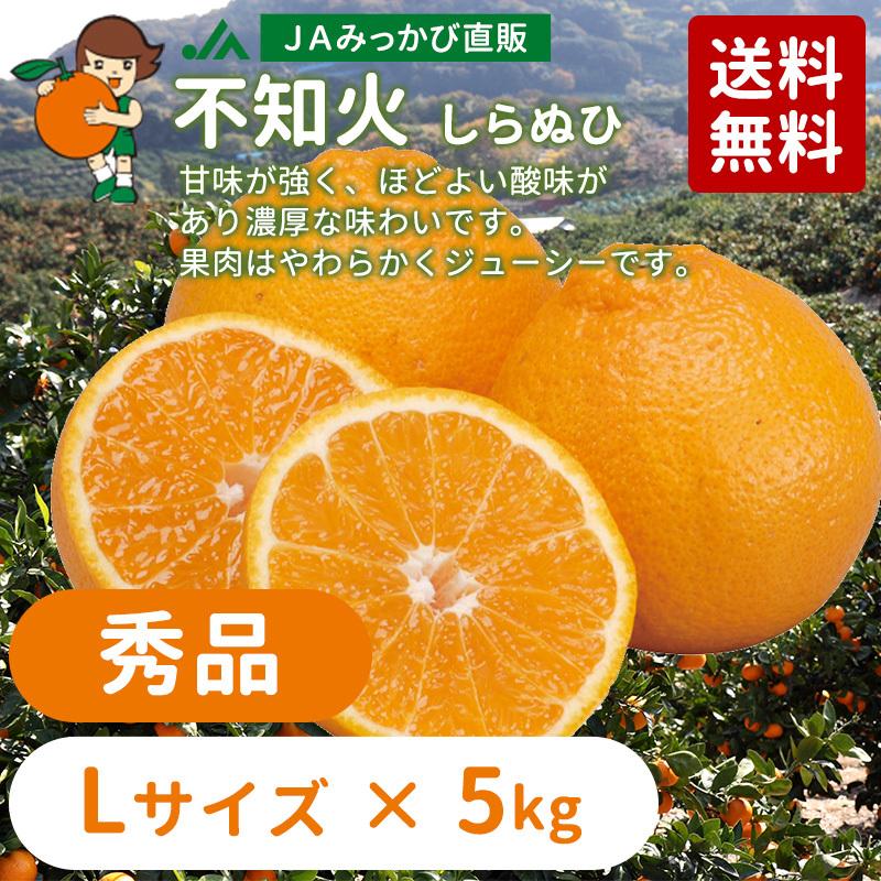 2月下旬発送】みかん 不知火（しらぬひ） 秀品 Lサイズ 8kg箱