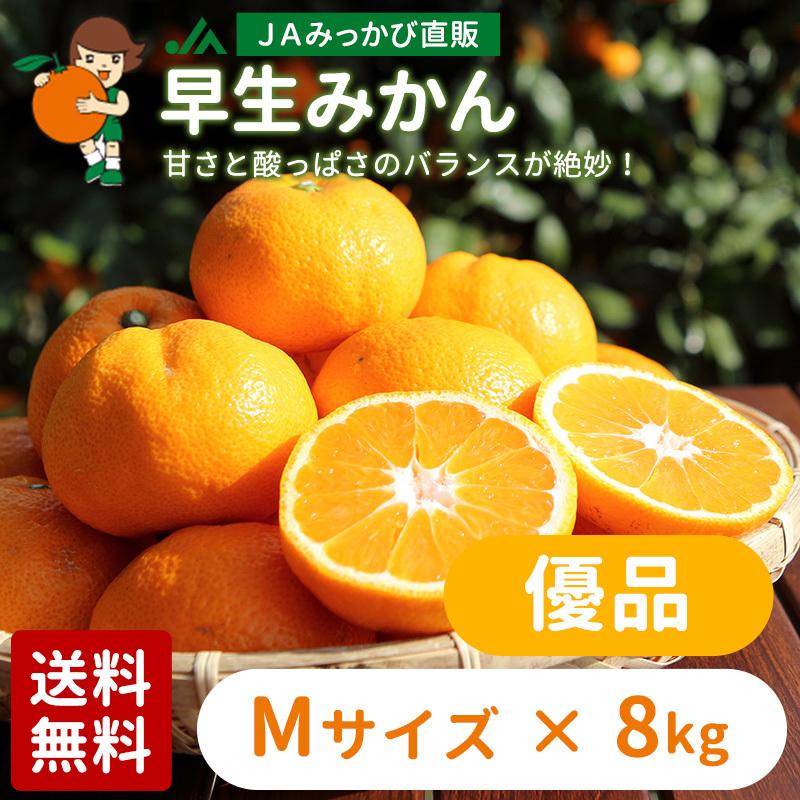 ①温州みかん 樹熟大坊みかん 優品(家庭用傷あり)2S、Sサイズ10kg みかん 早生みかん 優品 Mサイズ 8kg JAみっかび 産地直送 三ヶ日