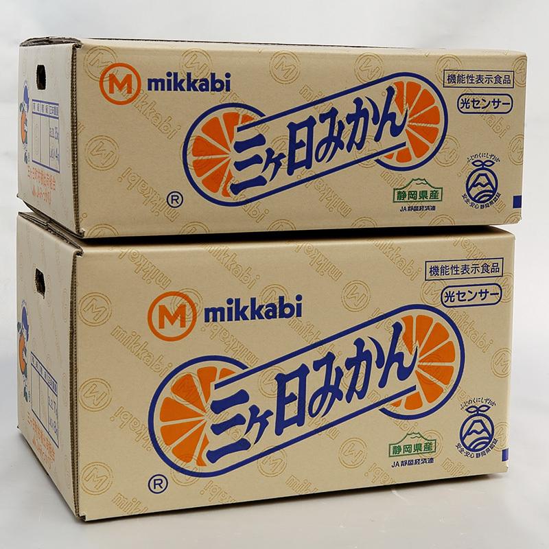 みかん 早生みかん 秀品 Lサイズ 8kg JAみっかび 産地直送 三ヶ日