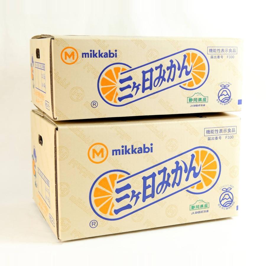 みかん 早生みかん 秀品 Lサイズ 8kg【2026年】JAみっかび 産地直送
