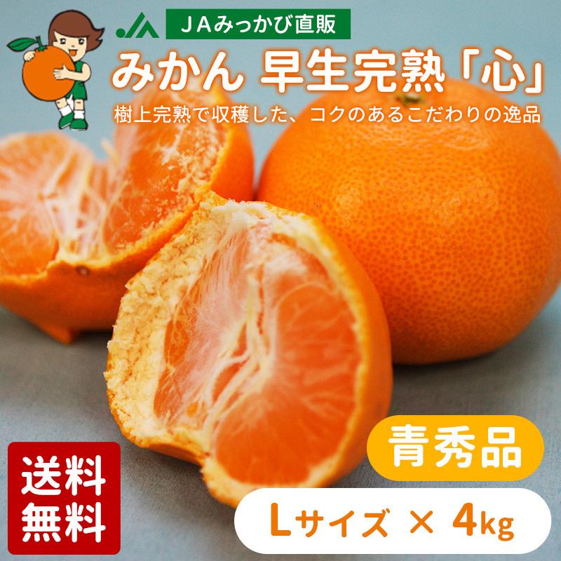 みかん 早生完熟「心」青秀品 Lサイズ 4kg JAみっかび 産地直送