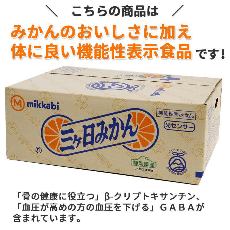 2月下旬発送】みかん 濃蜜青島 青秀品 2Lサイズ 3.5kg 【他の商品と