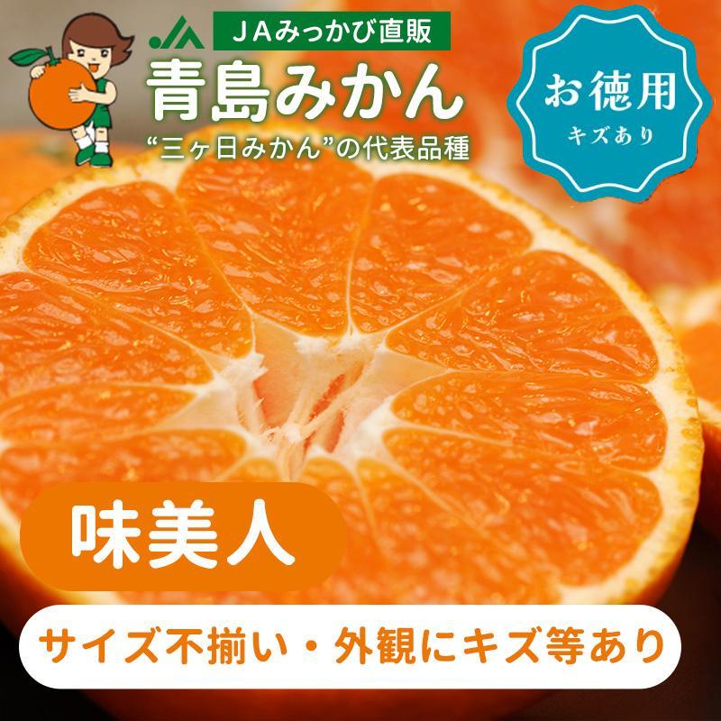 不知火&三ヶ日青島みかん 不知火&三ヶ日青島みかん