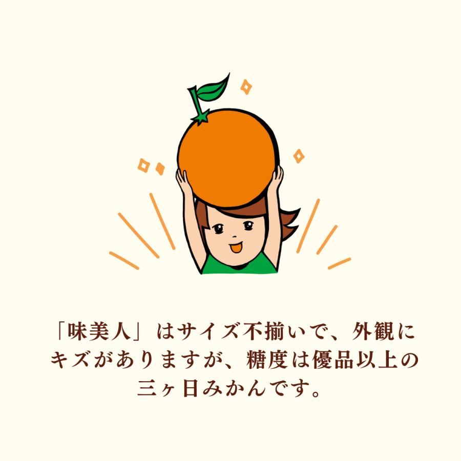 みかん 青島みかん 青島味美人 【サイズ不揃い・外観にキズ等あり