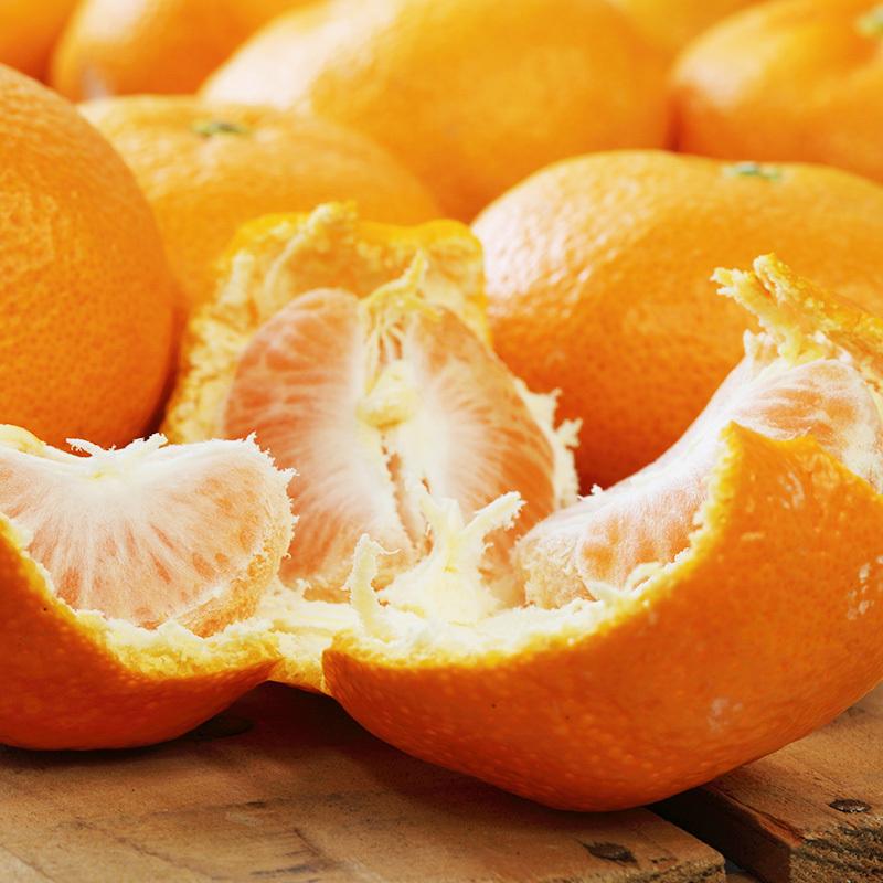 みかん 青島みかん 秀品 Mサイズ 4kg 【年明け発送：2026年1月5日〜2月