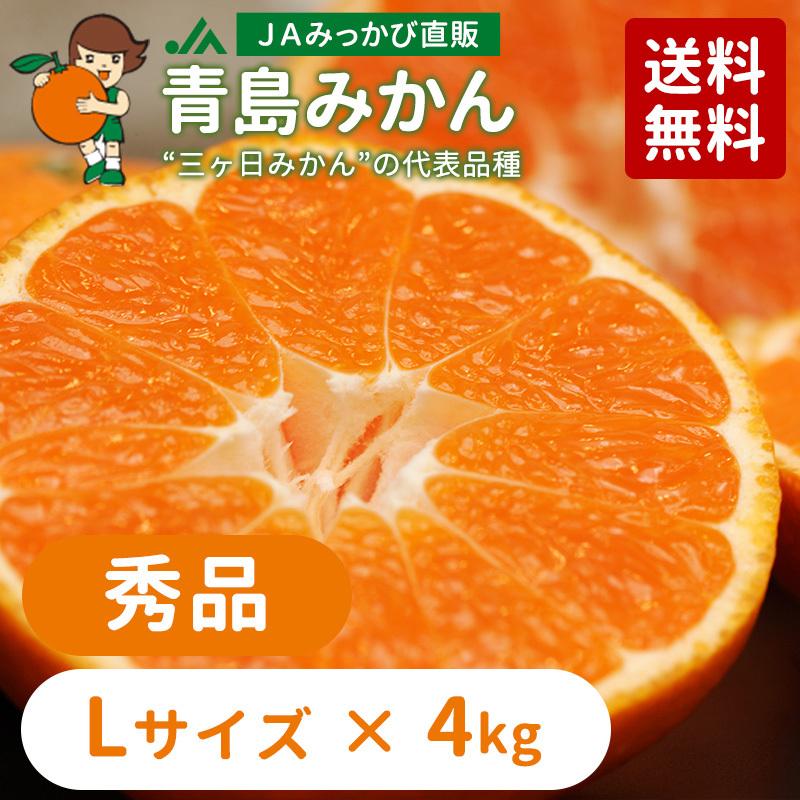 みかん 青島みかん 秀品 Lサイズ 4kg JAみっかび 産地直送 みかん 青島みかん 秀品 Lサイズ 4kg JAみっかび 産地直送